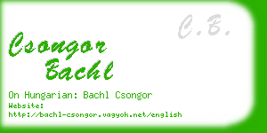 csongor bachl business card